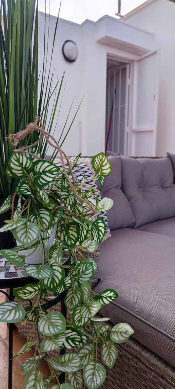 Apartamento Casa De Alba Cabo Cervera La Mata 托雷维耶哈 外观 照片