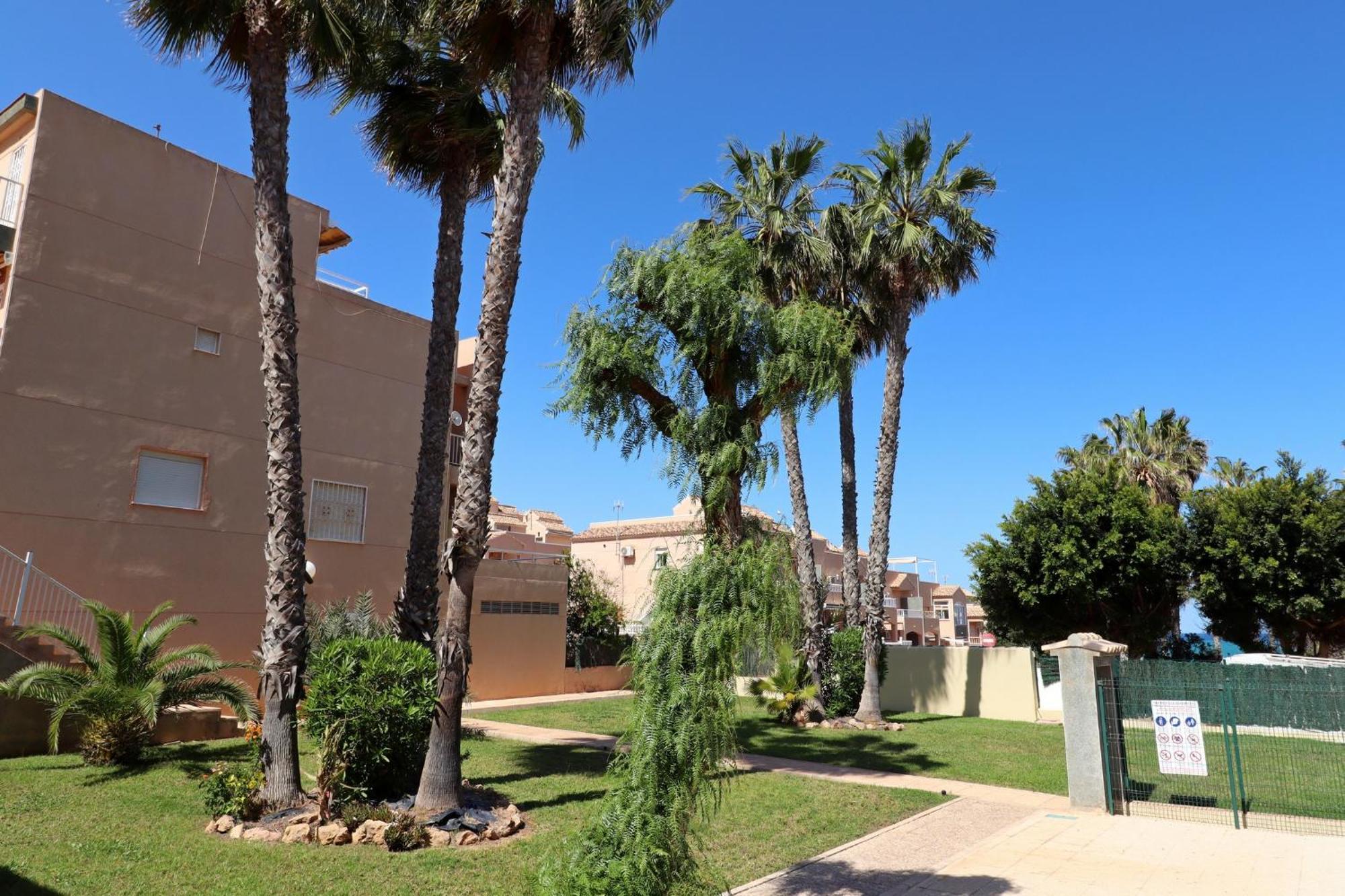 Apartamento Casa De Alba Cabo Cervera La Mata 托雷维耶哈 外观 照片