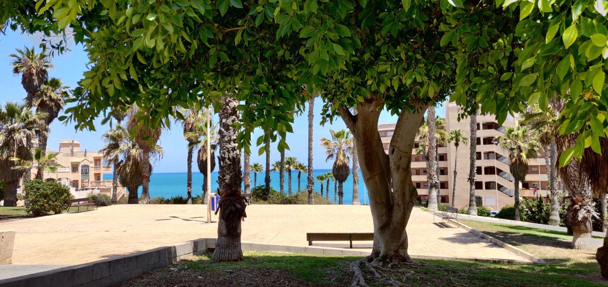 Apartamento Casa De Alba Cabo Cervera La Mata 托雷维耶哈 外观 照片
